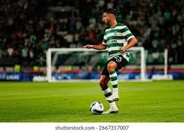 首页信息层级示意